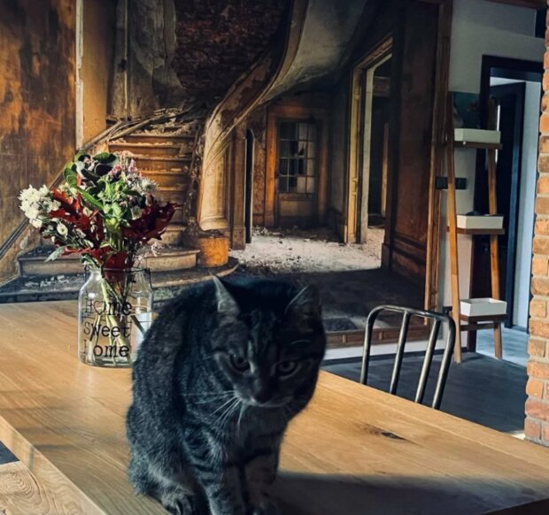 Dům Lucie Vondráčkové. Foto: snímek obrazovky ahaonline.cz