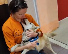 "Osudová volba": Zachránila psa a našla své místo v životě