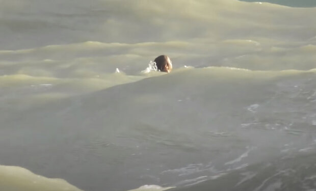 "Delfíni, moje poslední naděje": Jackie Murphy nemohl doplavat a byl obklopen smečkou přátelských zvířat. Záchranáři byli ve slepé uličce
