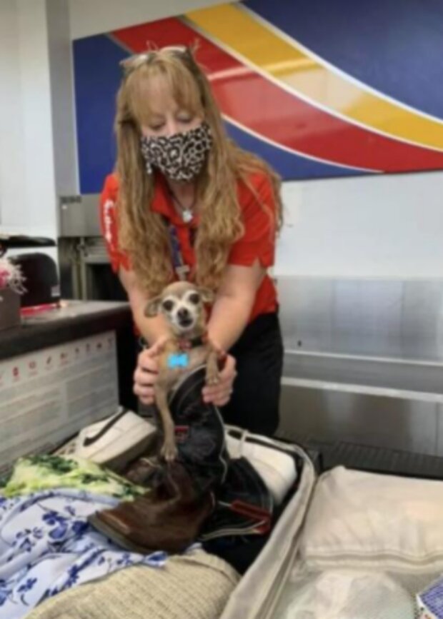 Zavazadla. Foto: snímek obrazovky goodhouse.ru