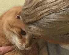 Žena si adoptovala kočku z útulku: druhý den se tam ale musela vrátit