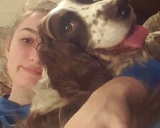 Pes. Foto: snímek obrazovky laykni.com