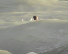 "Delfíni, moje poslední naděje": Jackie Murphy nemohl doplavat a byl obklopen smečkou přátelských zvířat. Záchranáři byli ve slepé uličce