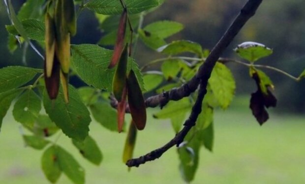 Počasí. Foto: snímek obrazovky stars24.cz