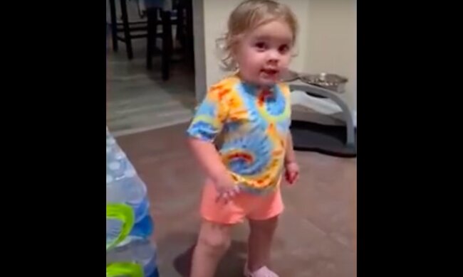 „Budoucí právník“: příbuzné uviděli, že jejich dcera odebírá jídlo od psa, ale dítě ve vtipném video skoro přesvědčilo o opaku