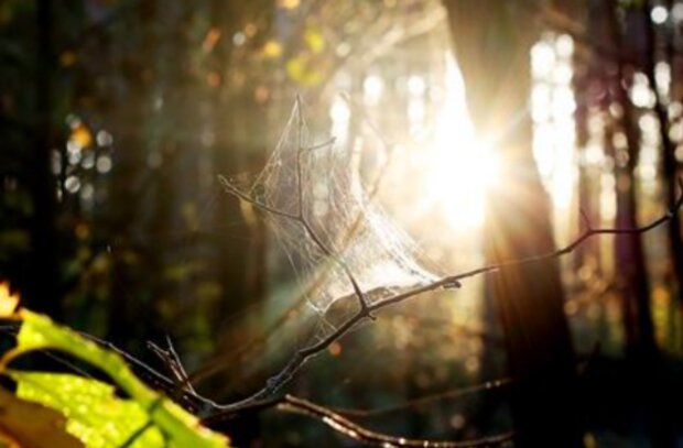 Počasí. Foto: snímek obrazovky YouTube