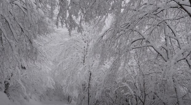 Počasí. Foto: snímek obrazovky YouTube