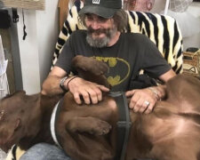 Bezdomovec Nicholas Jimmy měl zlomené srdce poté, co jeho pes Boots zmizel: Proč bezdomovec plakal radostí, když našel svého pohřešovaného psa