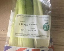 "Zvíře leželo v naší ledničce šest dní": Muž našel domácího mazlíčka v balíčku celeru