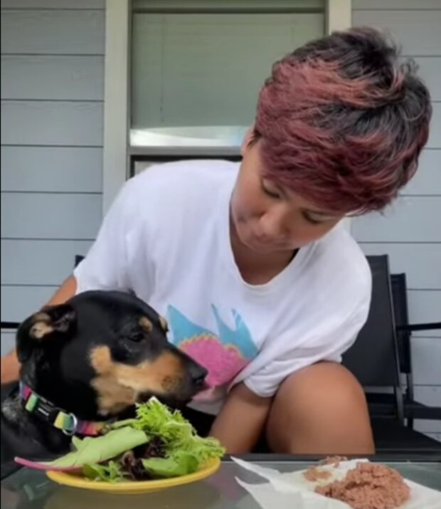 Holka a pes. Foto: snímek obrazovky YouTube