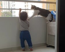 Dítě a kočka. Foto: snímek obrazovky YouTube