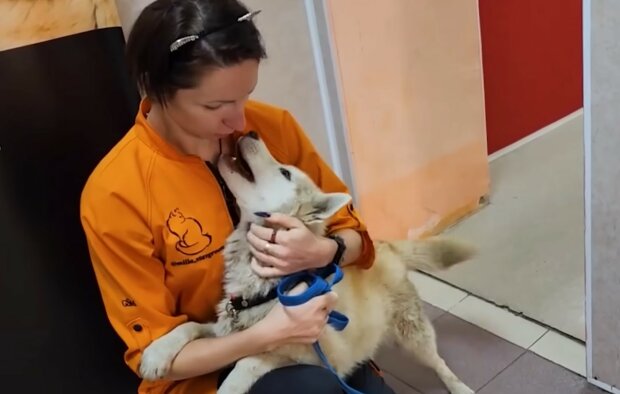 "Osudová volba": Zachránila psa a našla své místo v životě