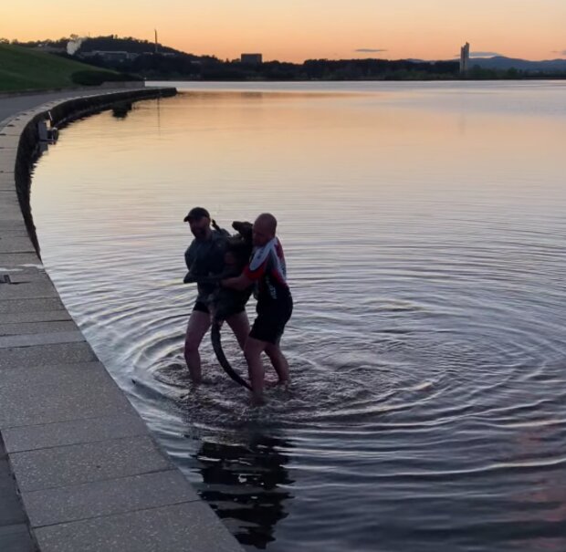 Záchranáři a klokan. Foto: snímek obrazovky YouTube
