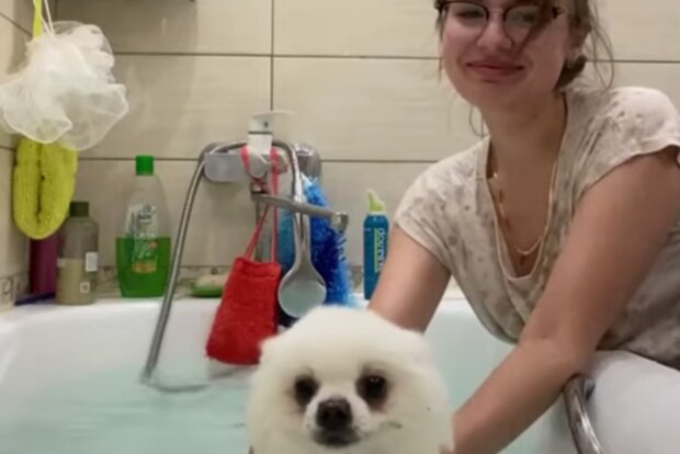 Holka a pes. Foto: snímek obrazovky YouTube