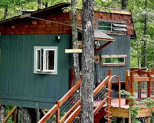 "Chtěla jsem, aby se Ali naučil komunikovat s lidmi": Devítiletý chlapec postavil dům na stromě a začal ho pronajímat turistům