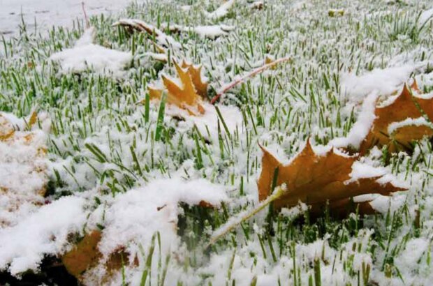 Do Česka míří zimní počasí: Meteorologové řekli, kde bude sněžit. Jakých nejvyšších teplot se dočkáme