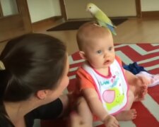 Miminko. Foto: snímek obrazovky YouTube