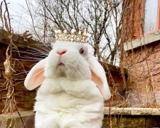 "Žiju si královským životem se svým sluhou": Královna Blanco se stala novou hvězdou Instagramu