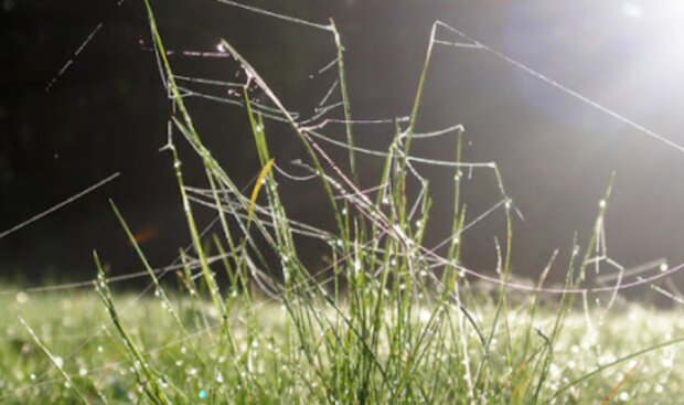 Počasí. Foto: snímek obrazovky YouTube