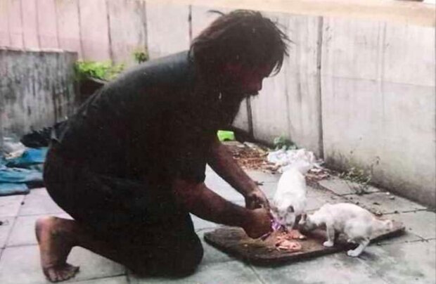 Bezdomovec živí pouliční kočky každý den, ale sám často má hlad