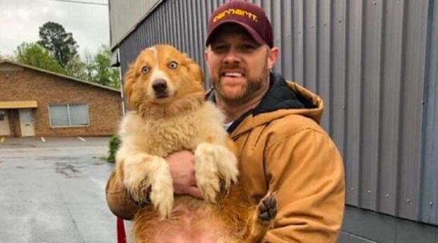 „Je jako chybějící kousek puzzlu“: pes, který zachránil rodinu během tornáda, se o dva měsíce později vrátil domů