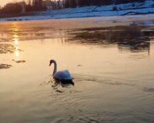 Výraznější pokles teplot: Meteorologové řekli, kdy se v Česku ochladí. Je známo, zda se ještě dočkáme sluníčka