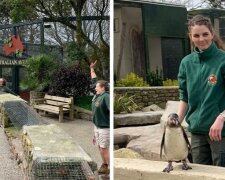 Co udělali zaměstnanci, aby nenechat zvířata bez péče v uzavřené zoo