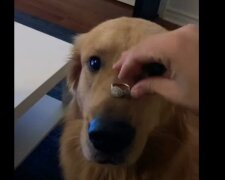 Jedním pohybem zrušil svatbu: Jasný příklad toho, co radši nedělat se snubním prstenem