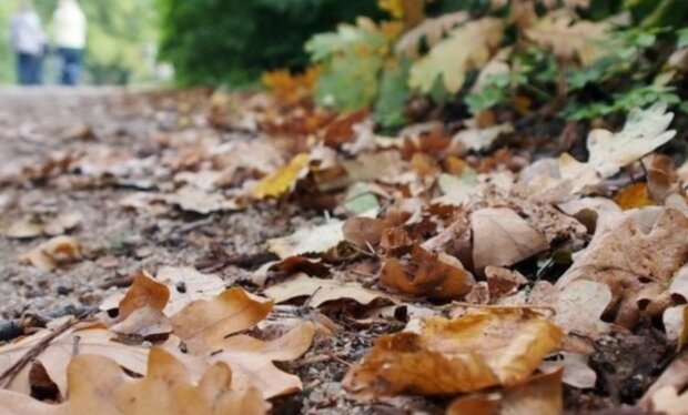 Podzimní počasí. Foto: snímek obrazovky stars24.cz