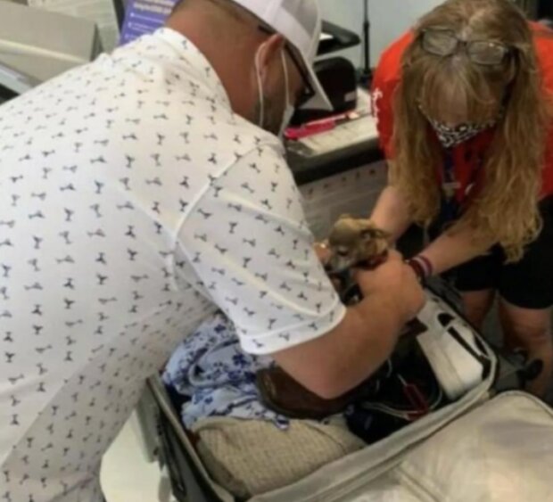 Zavazadla. Foto: snímek obrazovky goodhouse.ru