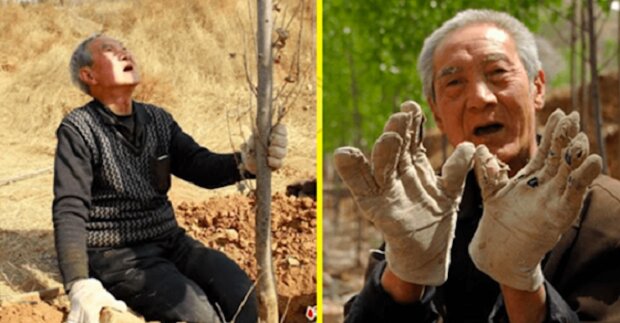Sedmdesátiletý veterán bez nohou vysadil za 19 let 17 tisíc stromů