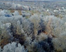 Mrazivá rána a mlhy: ČHMÚ zveřejnil předpověď na víkend. Jakých nejvyšších teplot se dočkáme