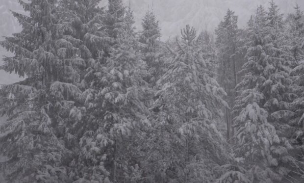 Počasí. Foto: snímek obrazovky YouTube