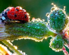 Úžasný výběr fotografií neuvěřitelně krásných přírodních divů