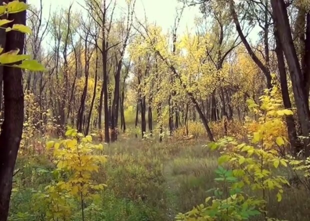 Počasí. Foto: snímek obrazovky YouTube
