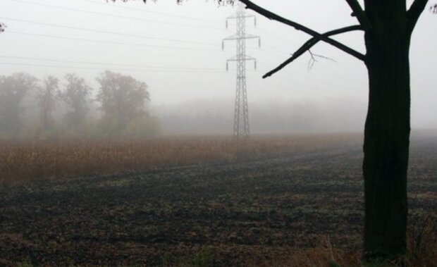 Podzimní počasí. Foto: snímek obrazovky stars24.cz