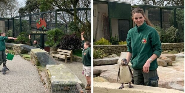 Co udělali zaměstnanci, aby nenechat zvířata bez péče v uzavřené zoo