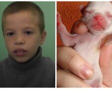 Kluk. Foto: snímek obrazovky YouTube