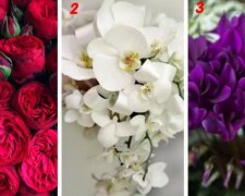 Ženský psychologický test: Vybrána vámi květina, prozradí vaše silné stránky