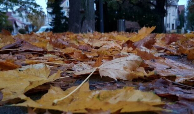 Počasí. Foto: snímek obrazovky stars24.cz