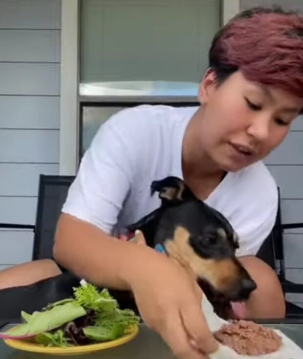 Holka a pes. Foto: snímek obrazovky YouTube