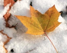 Mrazivé počasí o víkendu: Meteorologové řekli, kde bude sněžit. Jakých nejvyšších teplot se dočkáme