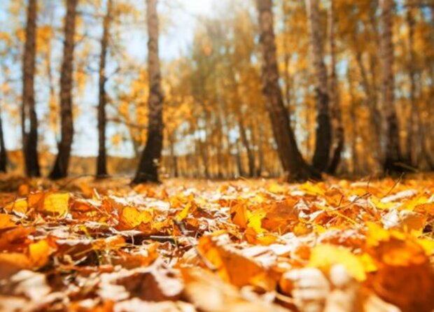 Počasí. Foto: snímek obrazovky YouTube