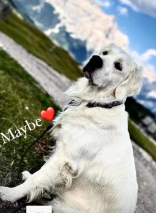 Maybe. Foto: snímek obrazovky blesk.cz