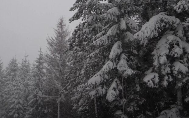 Počasí. Foto: snímek obrazovky YouTube