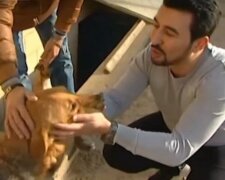 Útulek. Foto: snímek obrazovky laykni.com