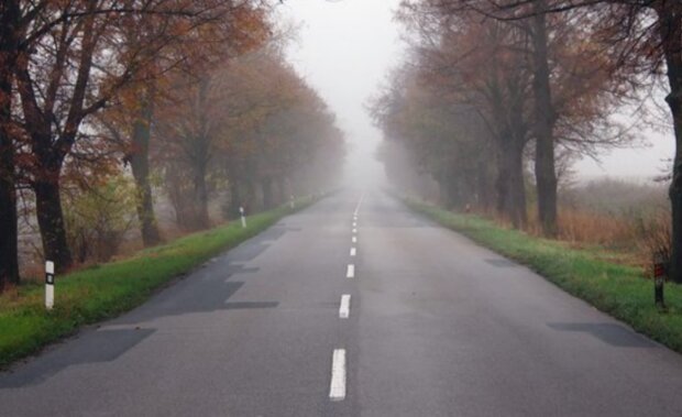 Podzimní počasí. Foto: snímek obrazovky stars24.cz