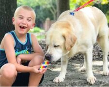 Stovky psích životů byly zachráněny, a to není limit: Romanovi je pouhých 7 let, ale tvrdohlavo chrání zvířata